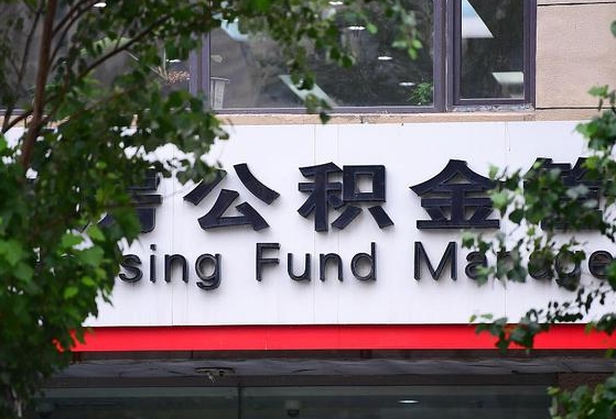 项城公积金提取周期一个月啥意思（公积金 提取 周期）
